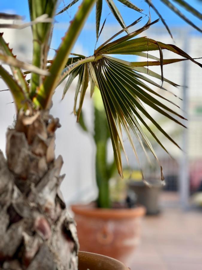 La Terraza De Porvenir 10 - Jerez De La Frontera Apartment Bagian luar foto